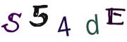 Image CAPTCHA